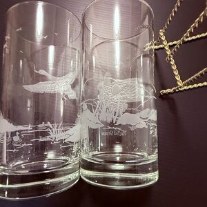Elegant Clear Glass Tumblers with Etched Game Bird Designs